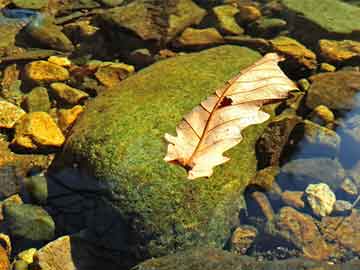 PUBG吃鸡KD翻倍不是梦！掌握这几个核心技巧，告别人体描边