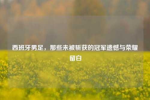 西班牙男足，那些未被斩获的冠军遗憾与荣耀留白