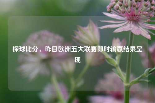 探球比分，昨日欧洲五大联赛即时输赢结果呈现