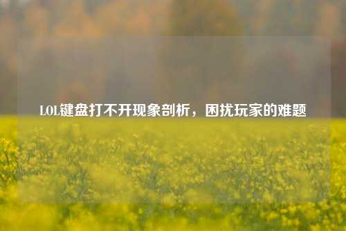 LOL键盘打不开现象剖析，困扰玩家的难题