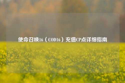 使命召唤16（COD16）充值CP点详细指南
