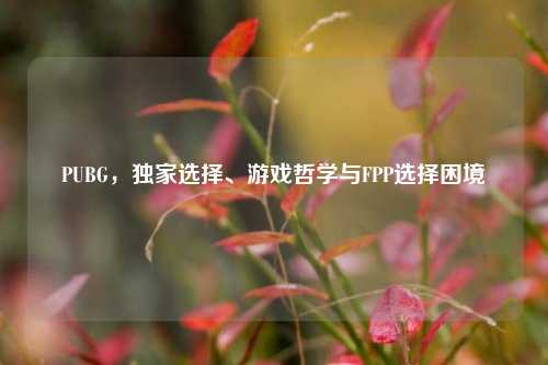 PUBG，独家选择、游戏哲学与FPP选择困境