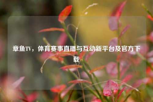 章鱼TV，体育赛事直播与互动新平台及官方下载