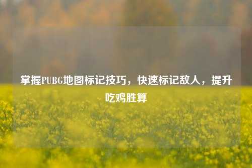 掌握PUBG地图标记技巧，快速标记敌人，提升吃鸡胜算