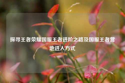 探寻王者荣耀国服王者进阶之路及国服王者营地进入方式