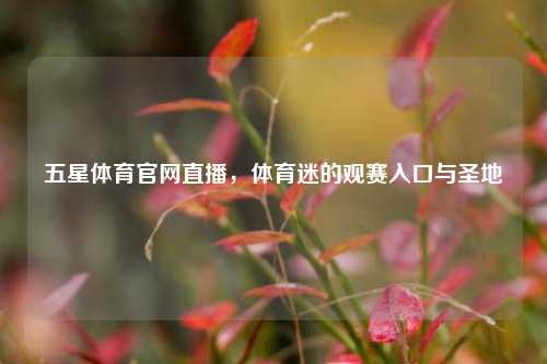 五星体育官网直播，体育迷的观赛入口与圣地