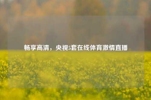 畅享高清，央视5套在线体育激情直播