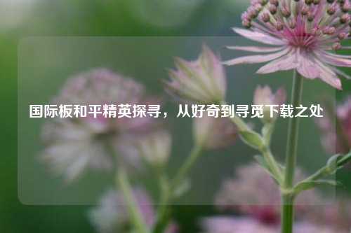 国际板和平精英探寻，从好奇到寻觅下载之处