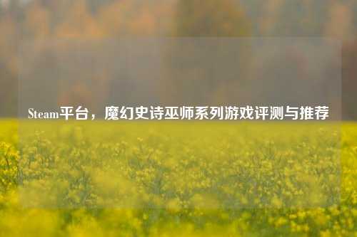Steam平台，魔幻史诗巫师系列游戏评测与推荐