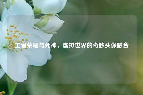 王者荣耀与死神，虚拟世界的奇妙头像融合