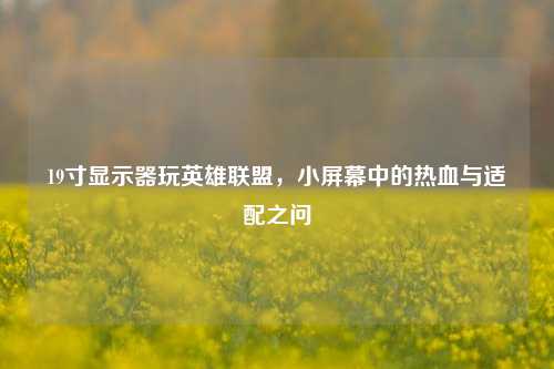 19寸显示器玩英雄联盟，小屏幕中的热血与适配之问