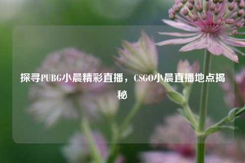 探寻PUBG小晨精彩直播，CSGO小晨直播地点揭秘