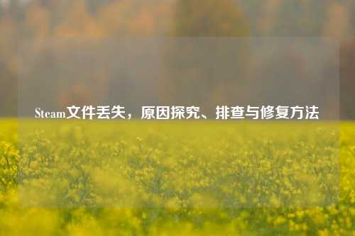 Steam文件丢失，原因探究、排查与修复方法