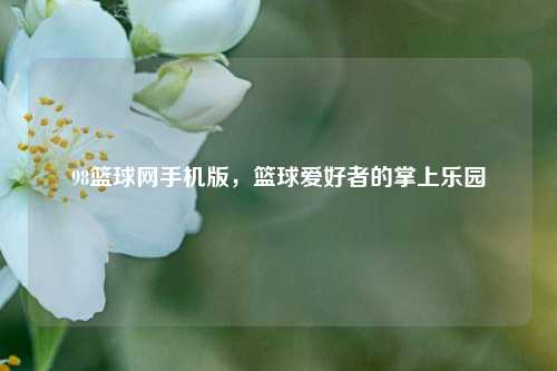 98篮球网手机版，篮球爱好者的掌上乐园
