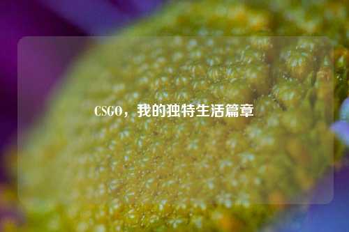 CSGO，我的独特生活篇章