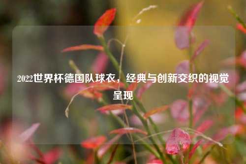 2022世界杯德国队球衣，经典与创新交织的视觉呈现