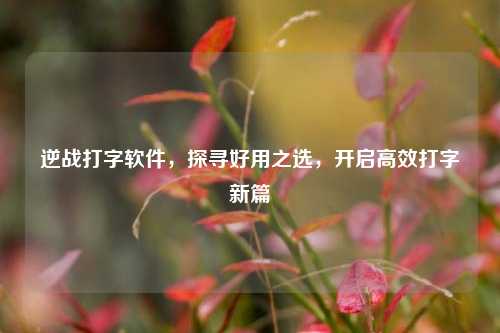 逆战打字软件，探寻好用之选，开启高效打字新篇