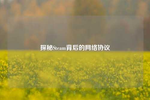 探秘Steam背后的网络协议