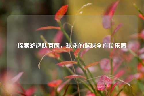 探索鹈鹕队官网，球迷的篮球全方位乐园