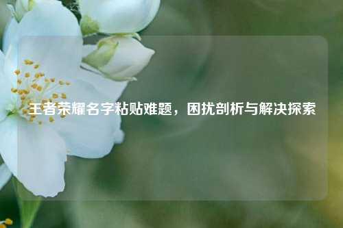 王者荣耀名字粘贴难题,困扰剖析与解决探索