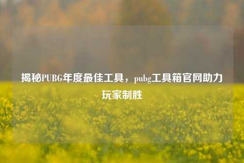 揭秘PUBG年度最佳工具,pubg工具箱官网助力玩家制胜