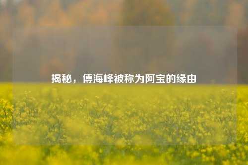 揭秘，傅海峰被称为阿宝的缘由