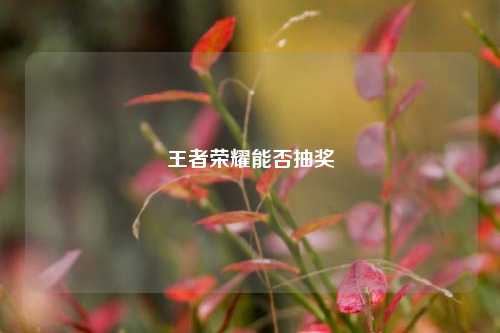 王者荣耀能否抽奖