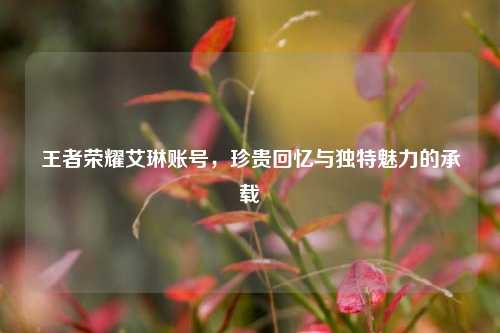 王者荣耀艾琳账号,珍贵回忆与独特魅力的承载