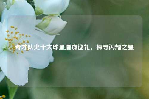 奇才队史十大球星璀璨巡礼，探寻闪耀之星