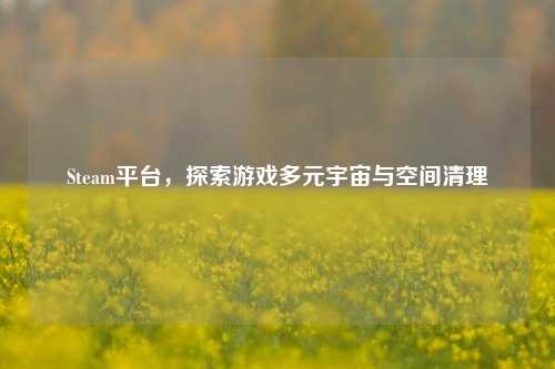 Steam平台,探索游戏多元宇宙与空间清理