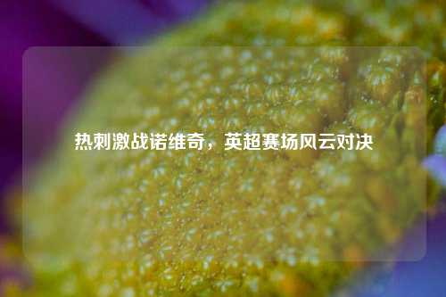 热刺激战诺维奇，英超赛场风云对决