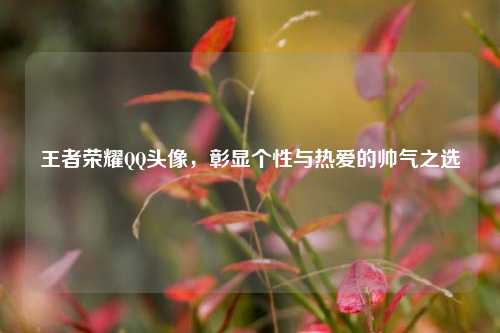 王者荣耀QQ头像，彰显个性与热爱的帅气之选