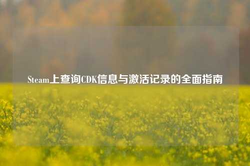 Steam上查询CDK信息与激活记录的全面指南