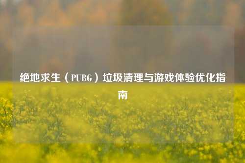 绝地求生（PUBG）垃圾清理与游戏体验优化指南