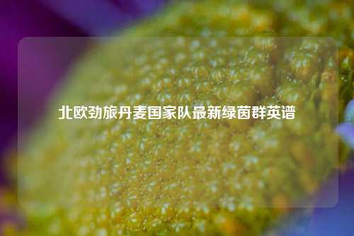 北欧劲旅丹麦国家队最新绿茵群英谱