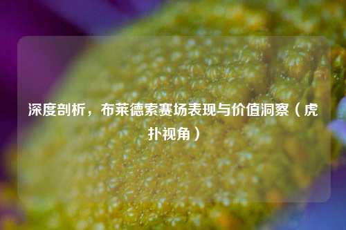 深度剖析，布莱德索赛场表现与价值洞察（虎扑视角）