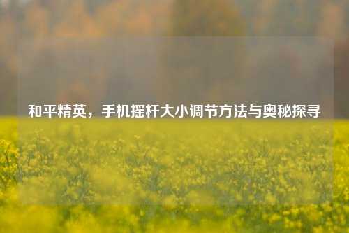 和平精英,手机摇杆大小调节方法与奥秘探寻