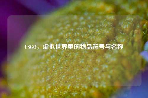 CSGO，虚拟世界里的物品符号与名称