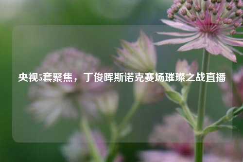 央视5套聚焦,丁俊晖斯诺克赛场璀璨之战直播