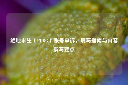 绝地求生(PUBG)账号申诉,填写指南与内容撰写要点