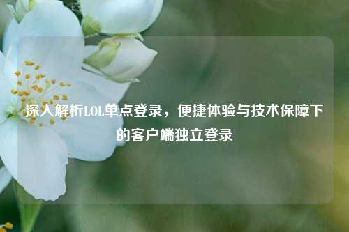 深入解析LOL单点登录，便捷体验与技术保障下的客户端独立登录
