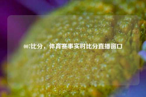 007比分,体育赛事实时比分直播窗口