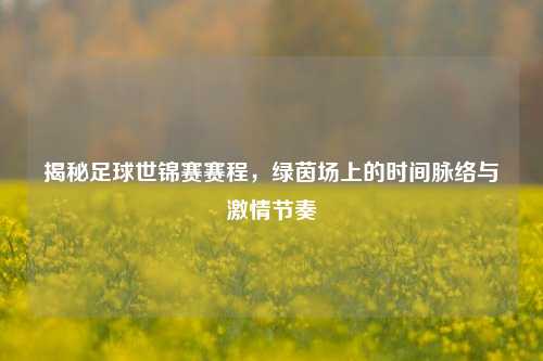 揭秘足球世锦赛赛程，绿茵场上的时间脉络与激情节奏