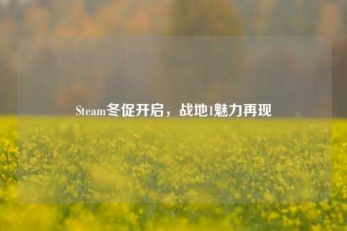 Steam冬促开启,战地1魅力再现