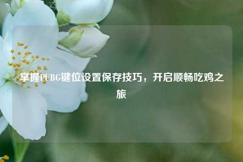 掌握PUBG键位设置保存技巧，开启顺畅吃鸡之旅