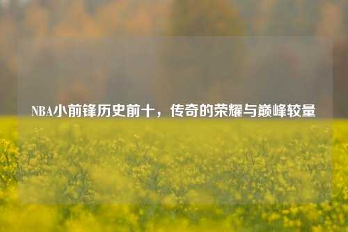 NBA小前锋历史前十,传奇的荣耀与巅峰较量
