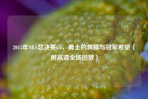 2015年NBA总决赛G6，勇士的救赎与冠军希望（附高清全场回放）
