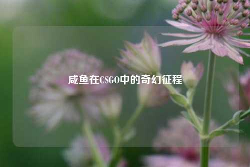 咸鱼在CSGO中的奇幻征程