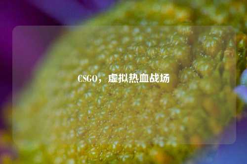 CSGO，虚拟热血战场