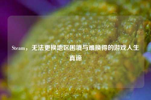 Steam,无法更换地区困境与难换得的游戏人生真谛